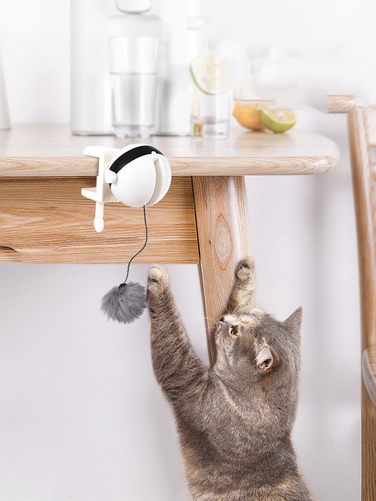 Electric Automatic Lifting Motion Cat Toy