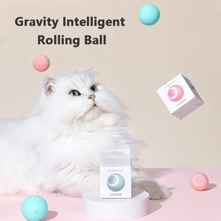 Cat Gravity Intelligent Rolling Ball