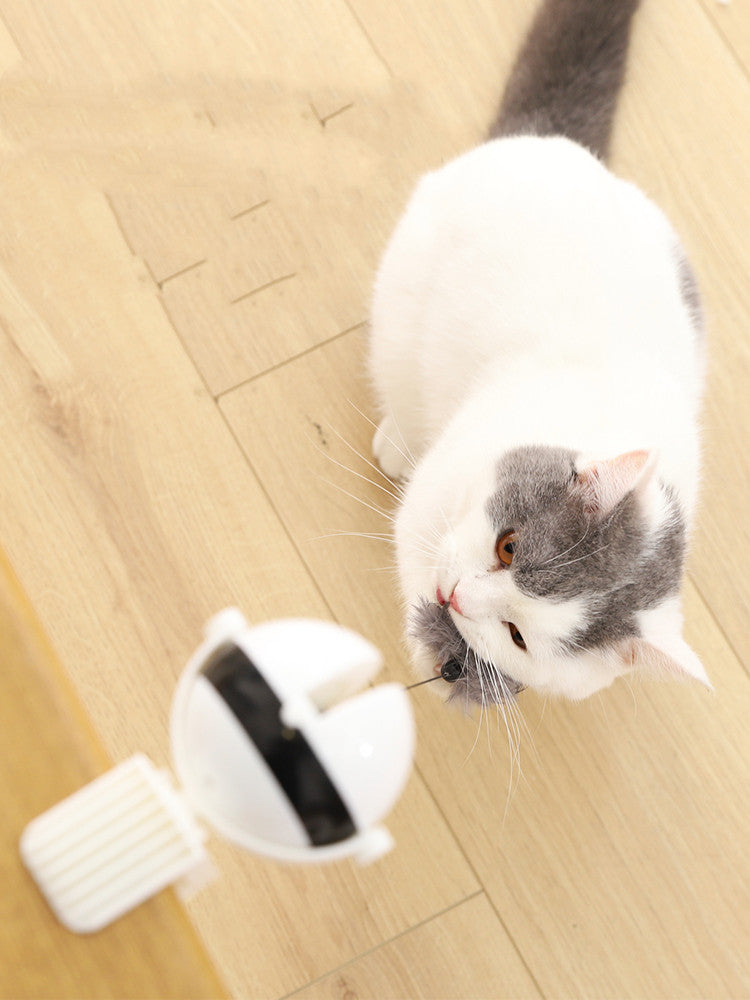 Electric Automatic Lifting Motion Cat Toy