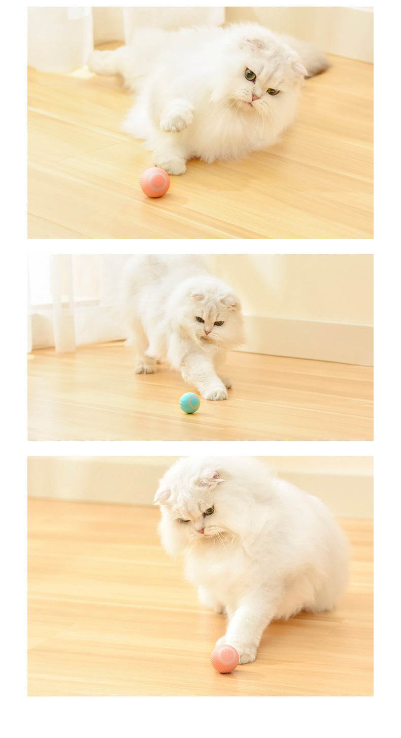 Cat Gravity Intelligent Rolling Ball