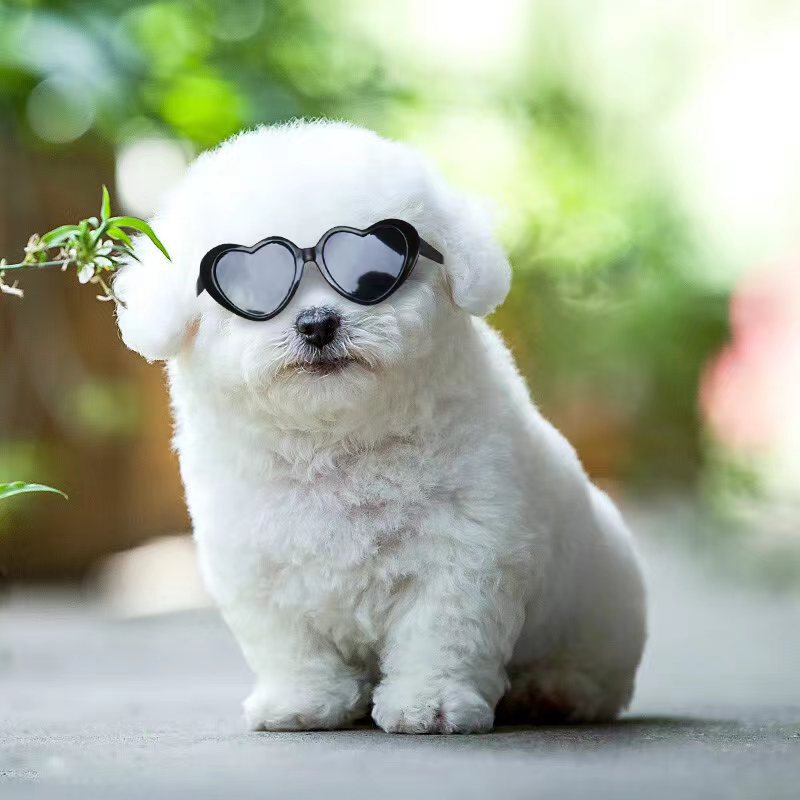 Doll Sunglasses Pet Toy Accessories