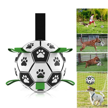 Pet Football Toys with Grab